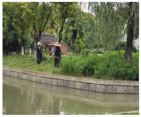 廠(chǎng)區(qū)綠化養(yǎng)護(hù)