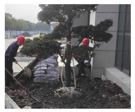 工廠(chǎng)綠化工程施工